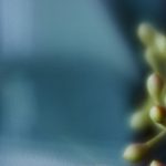 推荐几个优质的吃瓜网站,了解最新热点! 4zefj