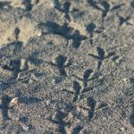 推荐几款支持调倍速功能的视频播放器,让你轻松享受观看体验 8rl06r5o7