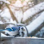 推荐几款免费看漫画无广告的软件,畅享阅读乐趣 vm3e5r865