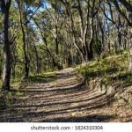 探讨楪可怜为何被称为人造人背后的原因 wk741of